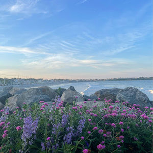 Meet your Posher, Mia